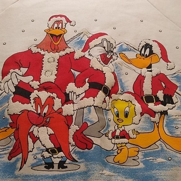 Classic Warner Brothers Cartoon Characters Christmas Sweatshirt Cottagecore - Picture 2 of 8